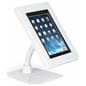 Locking anti-theft multi-mount iPad tablet stand
