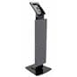 Pillar base iPad Pro kiosk with printed poster and locking housing