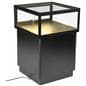 LED Display Case Pedestal with Top Lighting
