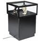 LED Display Case Pedestal with Wood Base