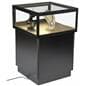 LED Display Case Pedestal with Glass Sliding Doors