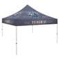 Custom printed 10x10 canopy with fire retardant polyester 