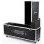 Flat Screen TV Case