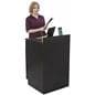 Restaurant Server Station, Floor Standing