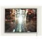 Store Window Light Box 