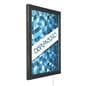 Single-Sided Black LED Backlit Frame