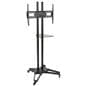 Plasma Floor Stands