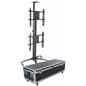 Dual TV Stand with Storage Container