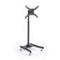 Economy Television Rack