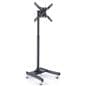 Economy Television Rack