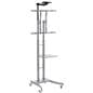 LCD Stand with AV Shelf & Camera Shelf