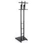 digital window display stand