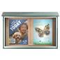 Outdoor bulletin board exhibiting public announcements and pet adoption graphics