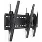 2-TV Wall Bracket with Tilting Arms