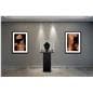 Pedestal showcase in retail store
