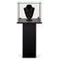 Pedestal showcase with pedestal base