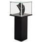 Pedestal showcase with a spacious, oversized compartment to accommodate a variety of collectibles.