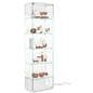 Glass curio cabinet with frameless design