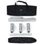 Weighted outdoor banner stand with carrying cases