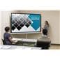 Presentation Using 90" Portable Tripod Projector Screen