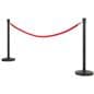 Stanchion post for crowd control