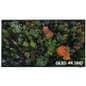 65 inch  weather-resistant outdoor TV with Samsung content management app