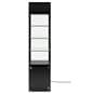LED display case tower with 17" cabinet depth