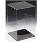 Collectible Display: Includes An Acrylic Riser