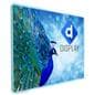 2-sided 8x10 silicone edge backdrop with different art on side 2