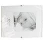 Glass Clip Picture Frames Have Frameless Glass Construction