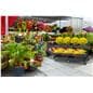 Rolling commercial nursery rack with large 66 inch merchandising space 
