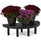 Single level half round endcap display with floor standing placement style 