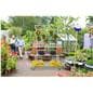 Steel nursery plant rack with holding capacity of 12 ten inch hanging baskets