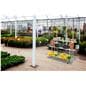 Steel nursery plant rack with overall depth of 40 inches 