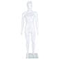Full body male mannequin with muscular full body design 
