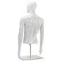 Male Torso Mannequin