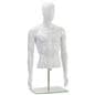 Male Torso Mannequin