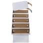 Cardboard POP Display with 5 Merchandise Tiers