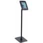 iPad Retail Kiosk with ABS Plastic