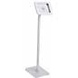 Thin Storefront iPad Stand