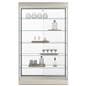Frameless display case with five fixed shelves