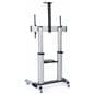 Heavy duty 80" TV display with wheels and guides to set height