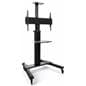 Height adjustable widescreen monitor stand on wheels