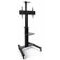Widescreen monitor stand on wheels with locking casters