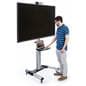 Rolling TV stand for flat screen TV with accessory shelf