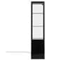 Glass display cabinet with height adjustable shelves 