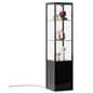 Glass display cabinet with tiered shelving 
