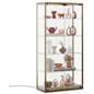Locking glass display cabinet with anodic finish