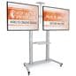 Dual screen tv stand with wheels 