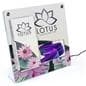 Countertop brochure holder with video screen and custom insert